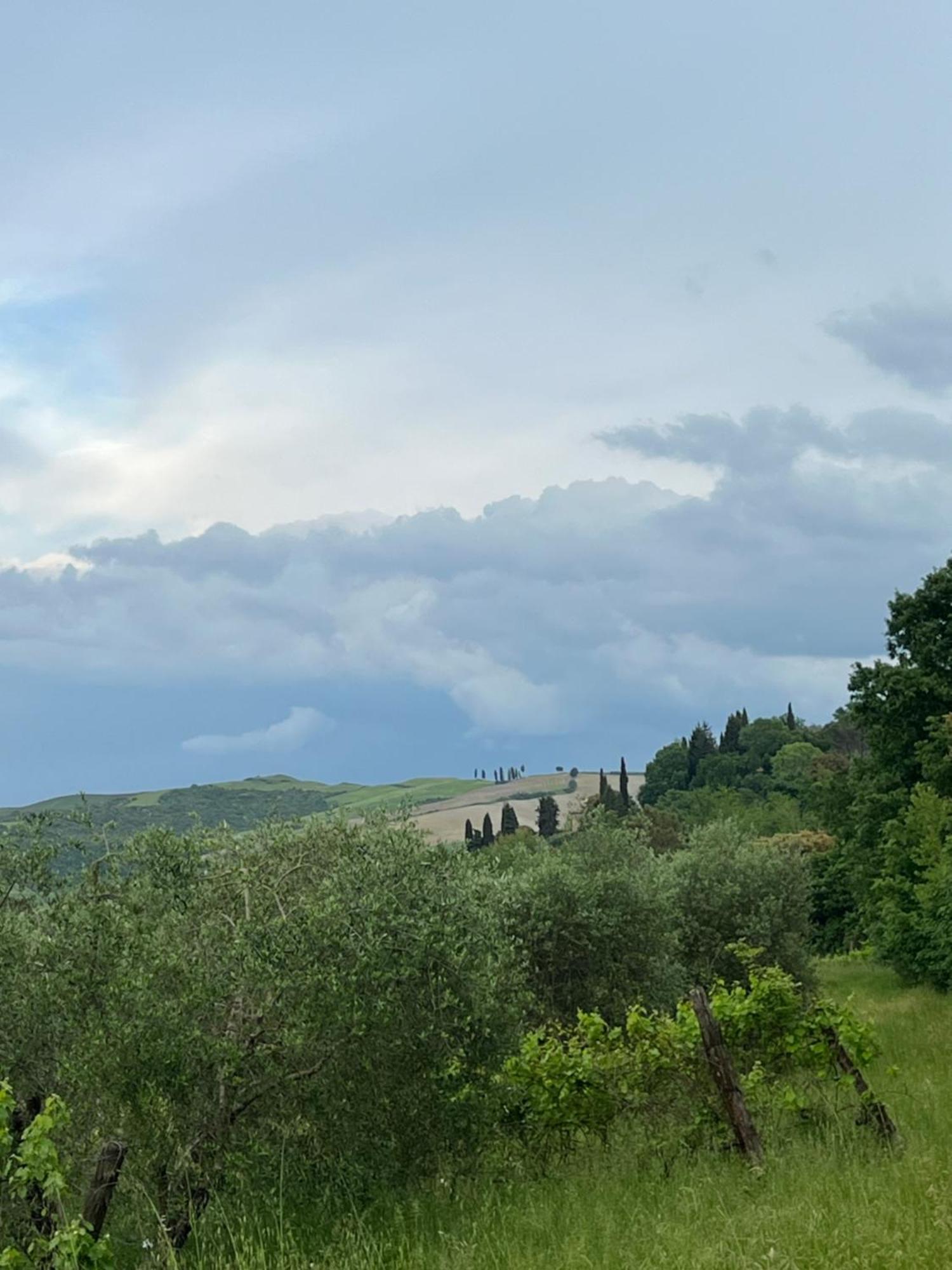 Agriturismo Podere Cortilla Вольтерра Экстерьер фото
