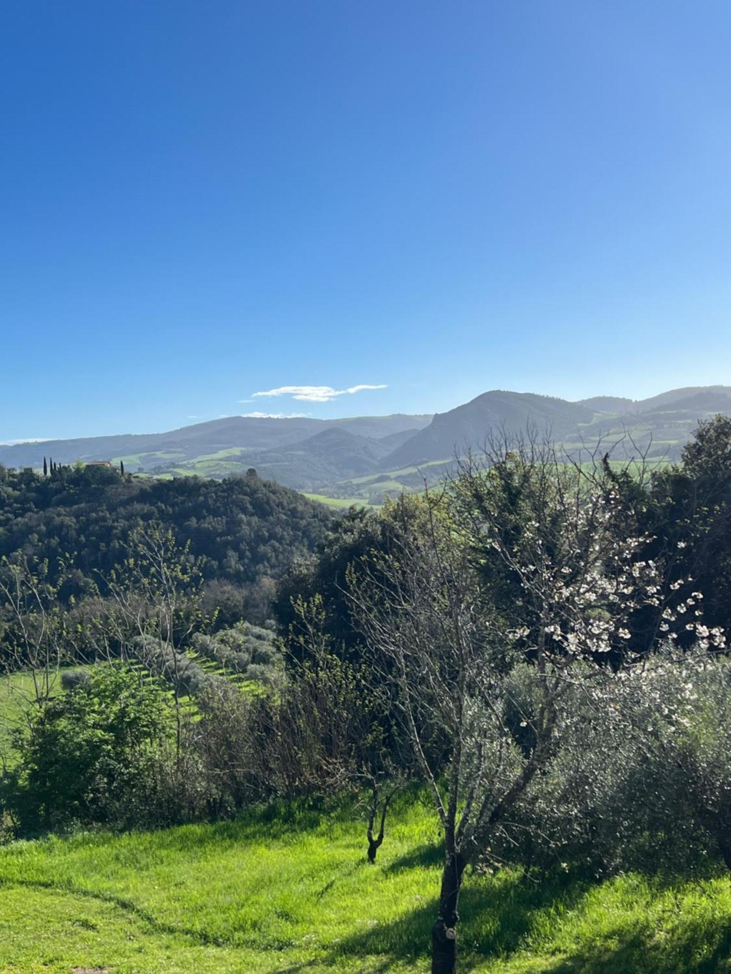 Agriturismo Podere Cortilla Вольтерра Экстерьер фото