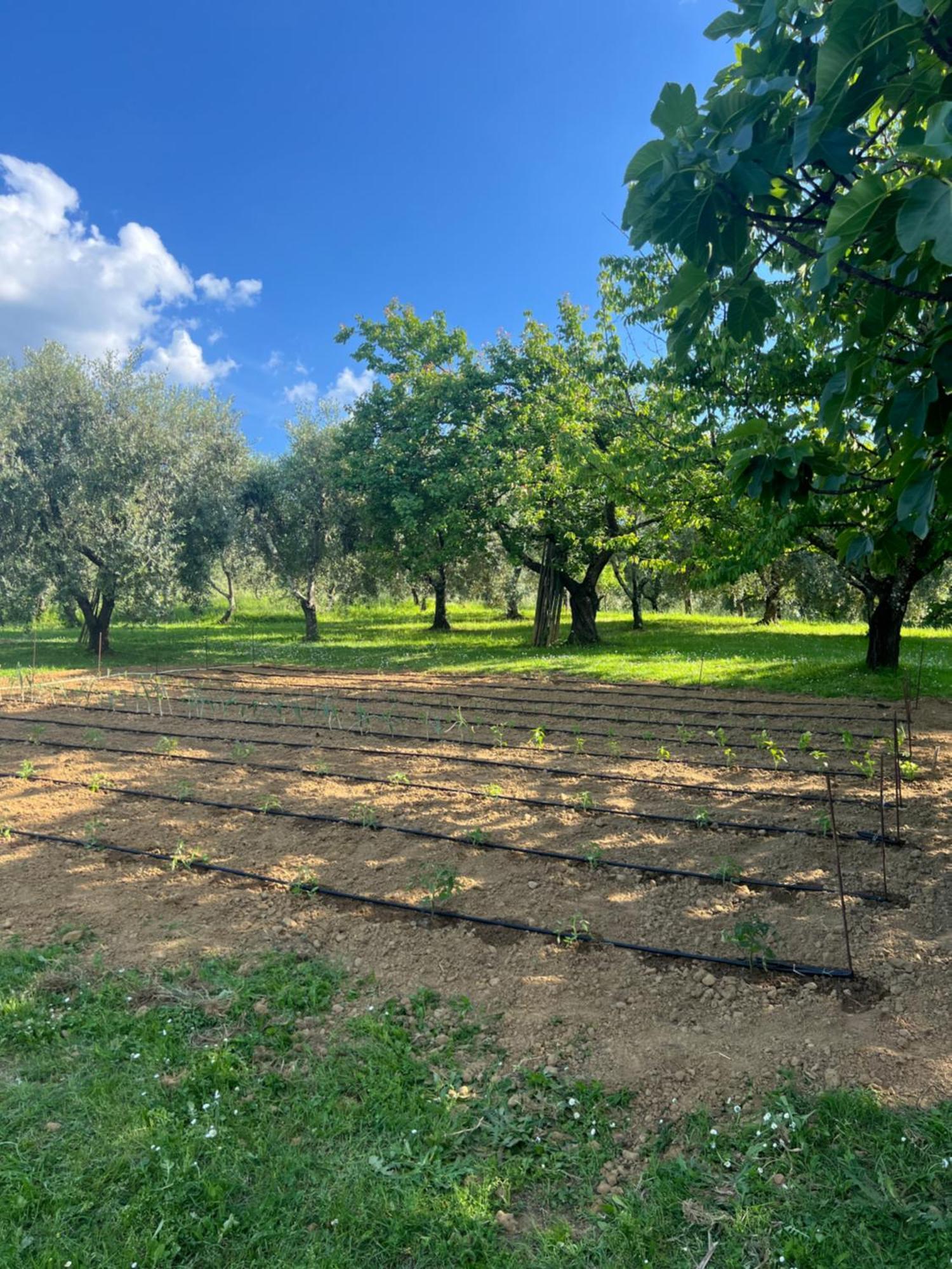 Agriturismo Podere Cortilla Вольтерра Экстерьер фото