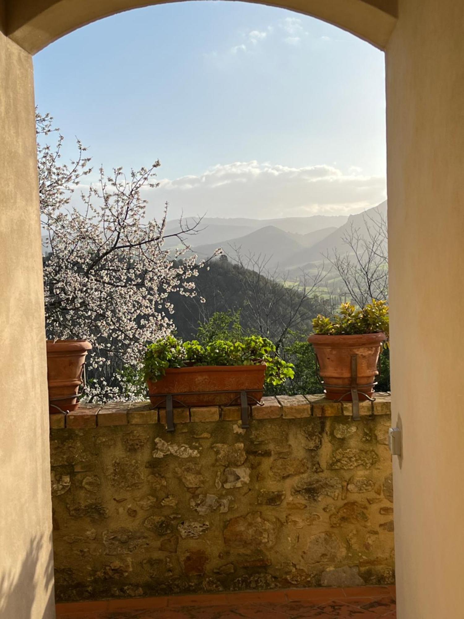 Agriturismo Podere Cortilla Вольтерра Экстерьер фото