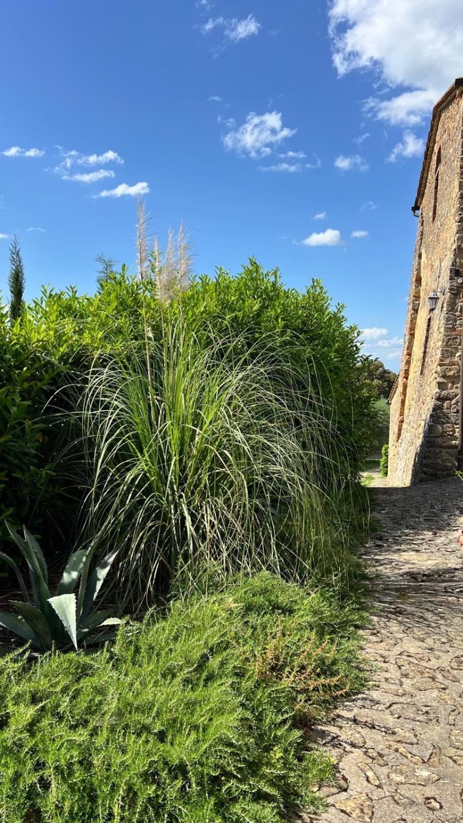 Agriturismo Podere Cortilla Вольтерра Экстерьер фото