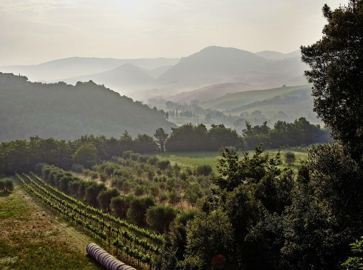 Agriturismo Podere Cortilla Вольтерра Экстерьер фото